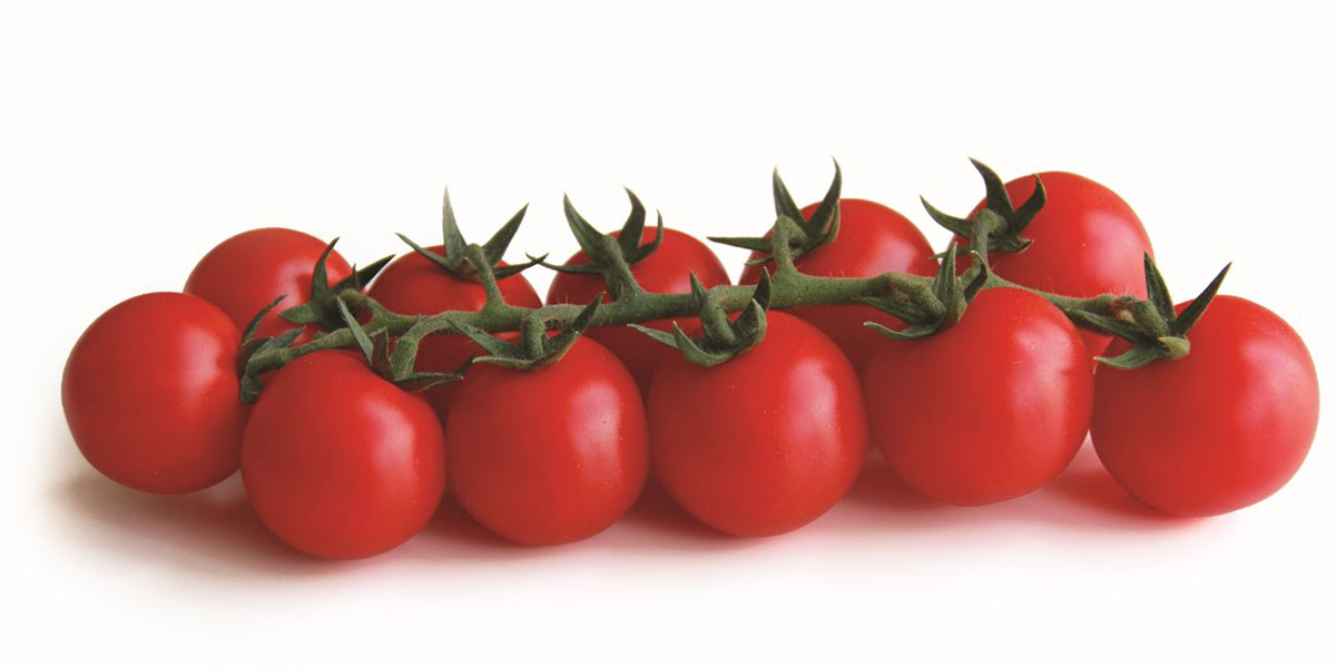 Cintura Per Yoga E Stretching - Leggings Giocattolo Per Coppie, Regolabile E Morbida - Foto 3